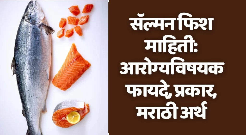 best-salmon-fish-in-marathi