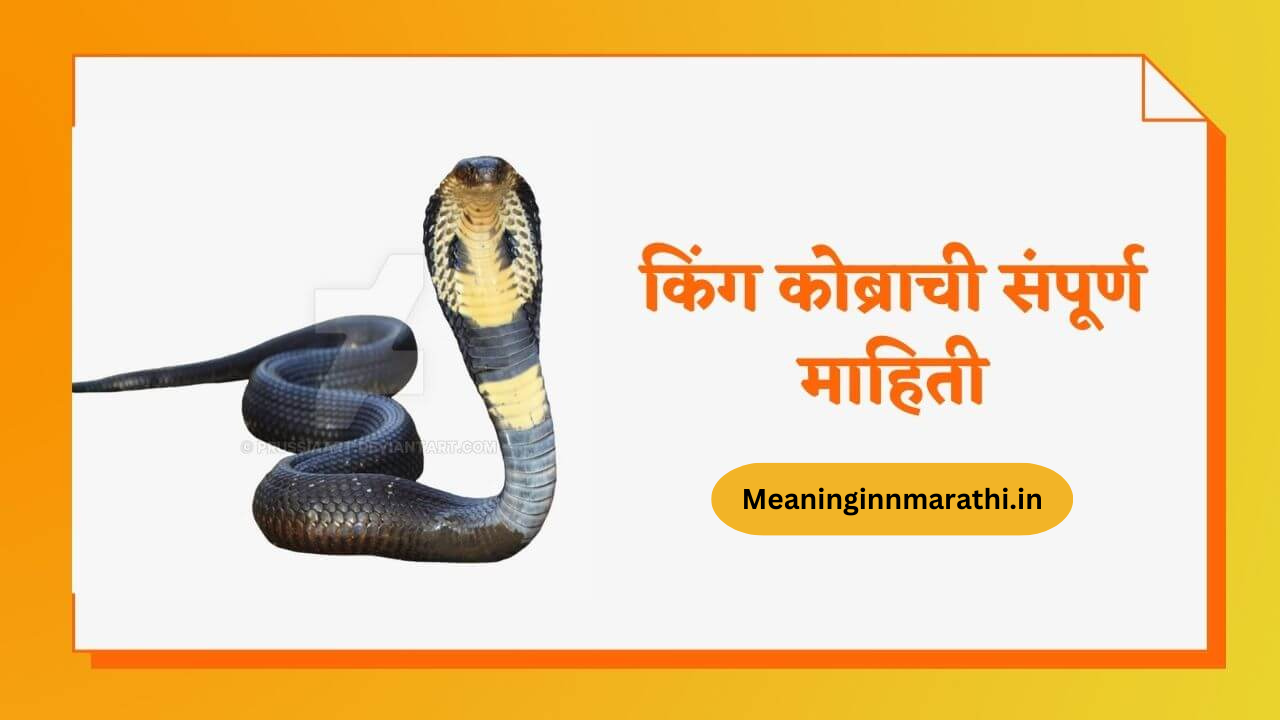 King Cobra Information in Marathi