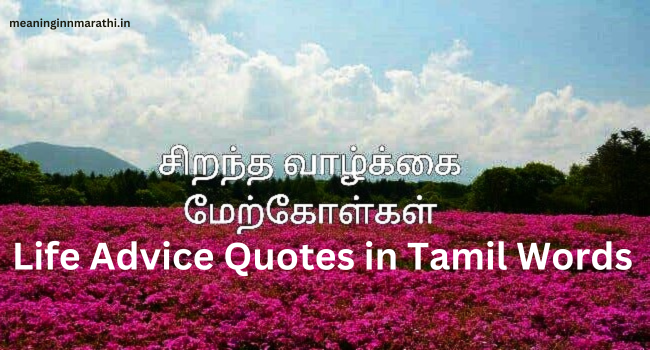 Life Advice Quotes in Tamil Words