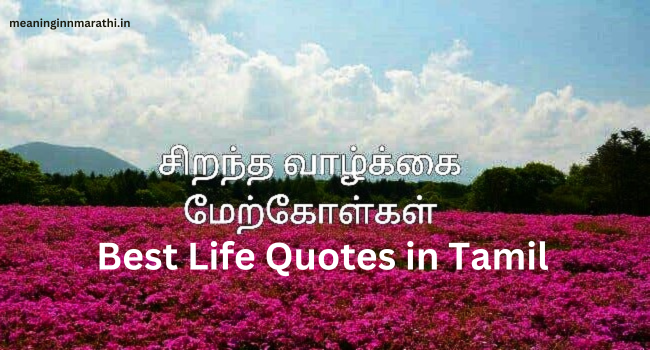 Best Life Quotes in Tamil