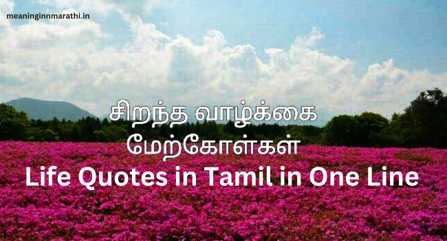 Life Quotes in Tamil in One Line