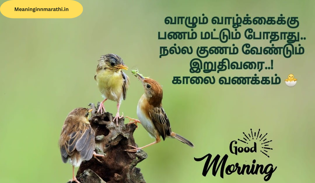 Good Morning Quotes in Tamil